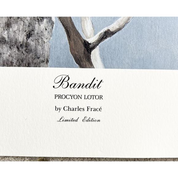 1984 Charles Fracé “Bandit, Raccoon” Large Signed Lithograph Print 30”X22” w/COA - Picture 8 of 11